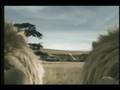 taco bell lions super bowl XLI commercial