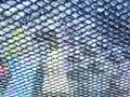 DESMA EN EL METROO TIGRESS ����