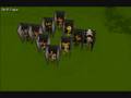 99 Construction Barrage 4