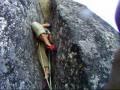 Climbing and Alpinism