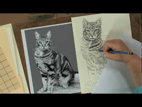 video-linktoworks-Preview | Keys to Drawing Realistic Animals with...