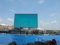 名古屋港水族館　イルカのショー