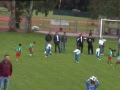 Guarda il video