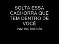 MC TORRADA E LANNA -SOLTA ESSA CACHORRA (dado dj)