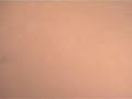 exo animation