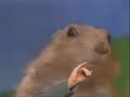 dr-evil-dramatic-chipmunk.html