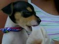 mylo garcia