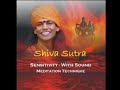 From works of living enlightened Master Paramahamsa Nithyananda.  In this clip Swamiji takes us through a guided meditation from Shiva Sutras.  This powerful technique is one of the six sound based techniques given by Shiva to achieve Shiva consciousness.  The technique is based on Omkara, the primordial sound of the universe.  This clip is taken from discourse titled, 