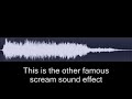 NOT THE WILHELM SCREAM NOT THE WILHELM SCREAM