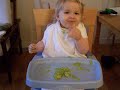 ectoplasm for dinner