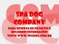 spa dog company   puppies from kirra x taz  30 days 