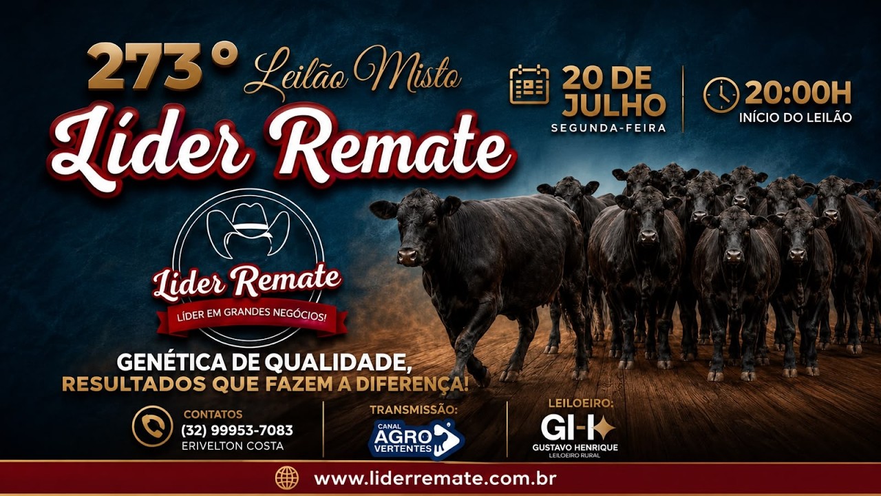 273º LEILÃO MISTO LÍDER REMATE - SÃO JOÃO DEL REI/MG - 20/07/2026