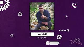 في خربة قيس بسلفيت،فطر الشوا المحصول الاكثر قطافا خلال هذه الايام لدى المزارع داودء