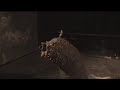 expo-polvo-fuimos-1stardust-we-are-stardust-we-will-be.html