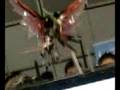 AFA '08.wmv