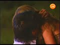 final amor ciego amorciego resumen