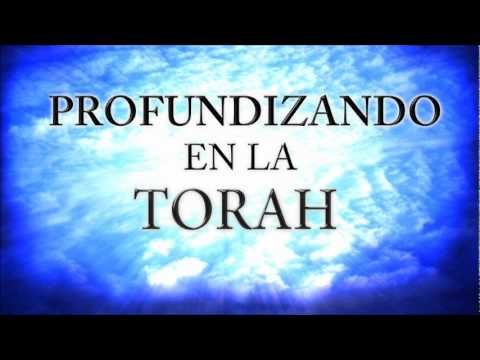 Torah - Los detalles del Estudio son el porque es necesario el estudio de la Torah, no olvidarse de hacerlo ningun día y tenerlo como prioridad. El Eterno en su inme...