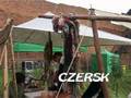 XI Europejskie Dni Dziedzictwa