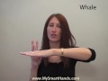 whale-ASL-sign-for-w