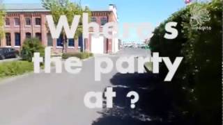 Dapdapito Pop Up-
Release-Party: Hier feiern wir!