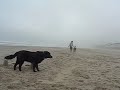 Rockaway Beach Race