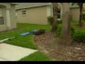 Backflip off Pogo Stick Fail
