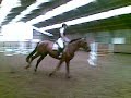 Valentino springen foutloos