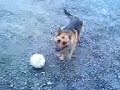 cyrrus jou o ballon cyrrus jou o ballon