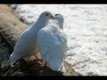 ard�nda yaral� bir kalp b�rakt�n