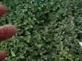 me shooting