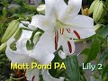 Matt Pond PA