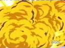 Trunks\ Trunks\