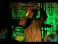 SNFU Cockatoo Quill Live 2005 Canadian Tour