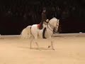 Spaanse Rijschool - Galopwissel Spaanse Rijschool - Galopwissel