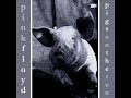 Pink Floyd Shine On You Crazy Diamond(Part 8) Munich 28-02-1977(PIGS ON THE RUN Bootleg)