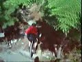 whistler mtb - fantastic trail - helmetcam