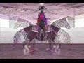 In Memory of My Horse