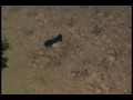 the scientist  san andreas 