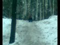 Kacper na sankach