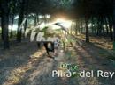 el corredor verde