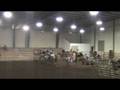 videos de Maximus Parr A-Ville