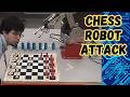 videos de Robot Chess // Moonrox