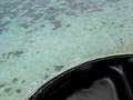 Helecopter takeoff from Heron Island