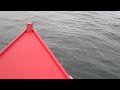Cruising with the porpoises