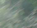 rishikesh water fall 5