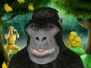 monkey makes a joke