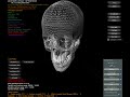 Polygon Reduce Tool