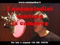 NEOMELODICI E CAMORRA. NAPOLI...SERENATA CALIBRO 9