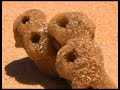 Lost Thongs - The sweded version of the \"Lost Things\"