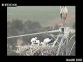 videos de Czekamy na posiłek.